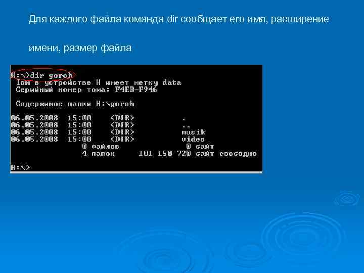 Для каждого файла команда dir сообщает его имя, расширение имени, размер файла 