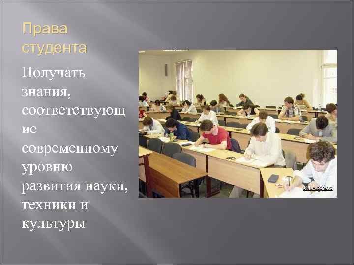 Права студента Получать знания, соответствующ ие современному уровню развития науки, техники и культуры 