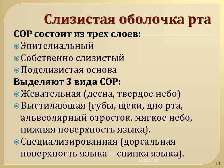 Слизистая оболочка рта СОР состоит из трех слоев: Эпителиальный Собственно слизистый Подслизистая основа Выделяют