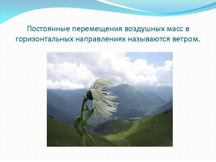 Постоянные перемещения воздушных масс в горизонтальных направлениях называются ветром. 