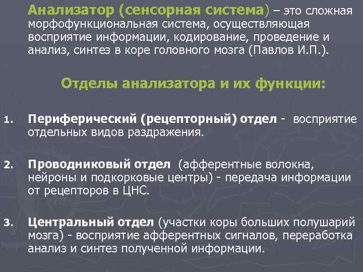 Анализатор это. Понятие об анализаторах. Морфофункциональная характеристика анализаторов. Отделы сенсорной системы и их функции. Функции анализаторов.