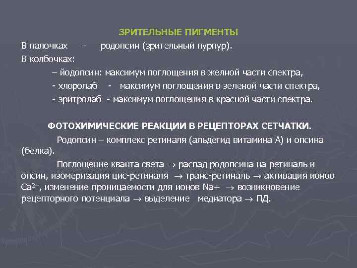 Содержат пигмент йодопсин. Зрительный пигмент йодопсин. Родопсин и йодопсин функции. Зрительный пигмент колбочек.