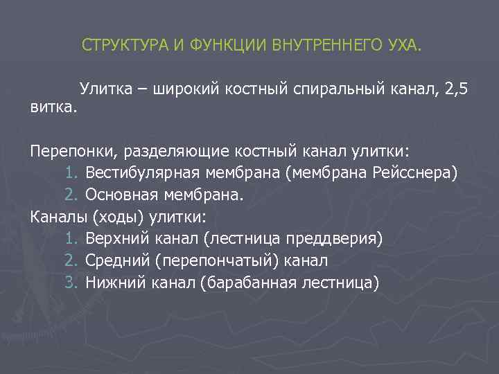 СТРУКТУРА И ФУНКЦИИ ВНУТРЕННЕГО УХА. витка. Улитка – широкий костный спиральный канал, 2, 5