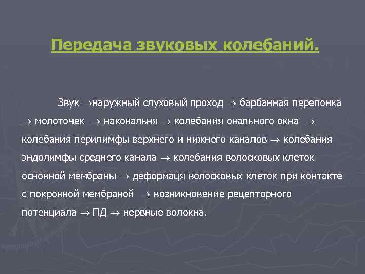 Передача звуковых колебаний. Звук наружный слуховый проход барбанная перепонка молоточек наковальня колебания овального окна
