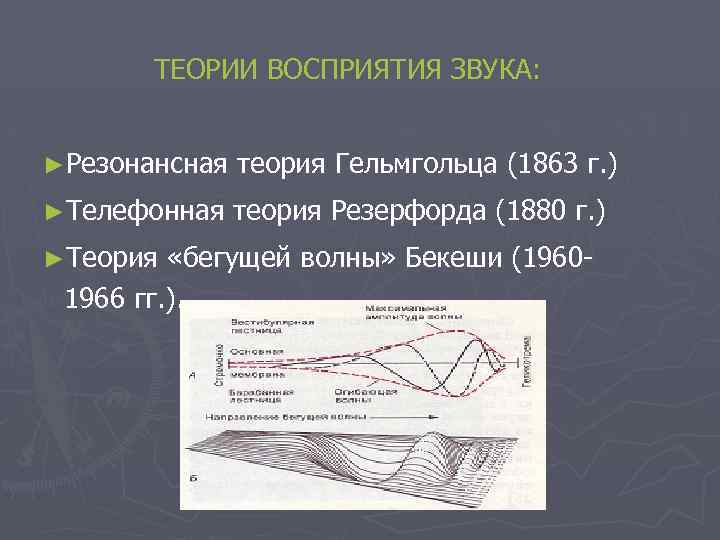 ТЕОРИИ ВОСПРИЯТИЯ ЗВУКА: ►Резонансная теория Гельмгольца (1863 г. ) ►Телефонная теория Резерфорда (1880 г.