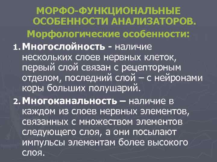 Особенности анализаторов. Функциональные особенности анализаторов. Морфофункциональная характеристика анализаторов. Морфофункциональные особенности это. Функциональные особенности это.