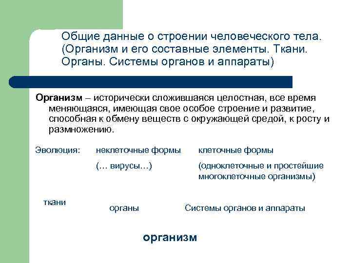 Аппараты организма. Организм и его составные элементы. Укажите основные составные элементы организма человека.. Общие данные о строении человеческого тела. Человек современный особое строение.