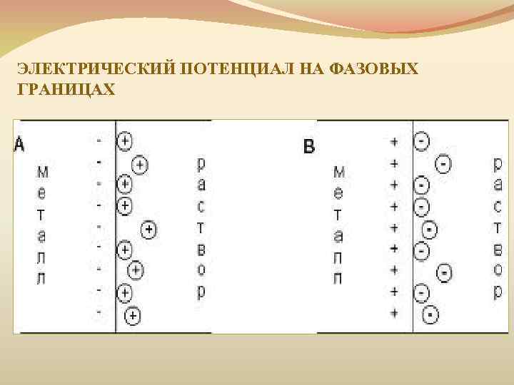 ЭЛЕКТРИЧЕСКИЙ ПОТЕНЦИАЛ НА ФАЗОВЫХ ГРАНИЦАХ 