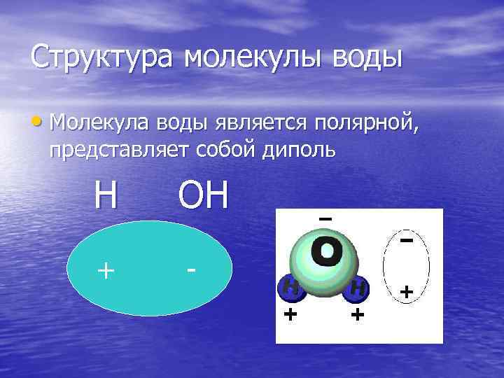Структура молекулы воды • Молекула воды является полярной, представляет собой диполь Н + ОН