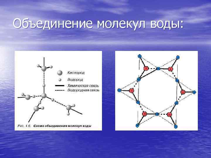 Схема строения молекулы воды