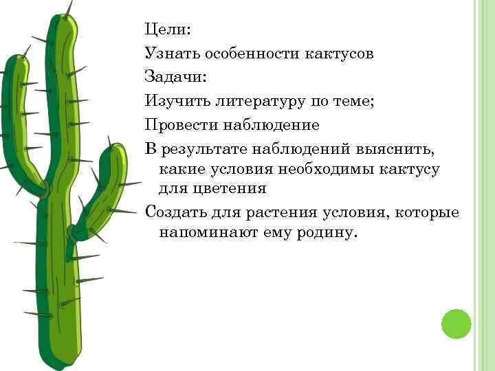 Цели: Узнать особенности кактусов Задачи: Изучить литературу по теме; Провести наблюдение В результате наблюдений