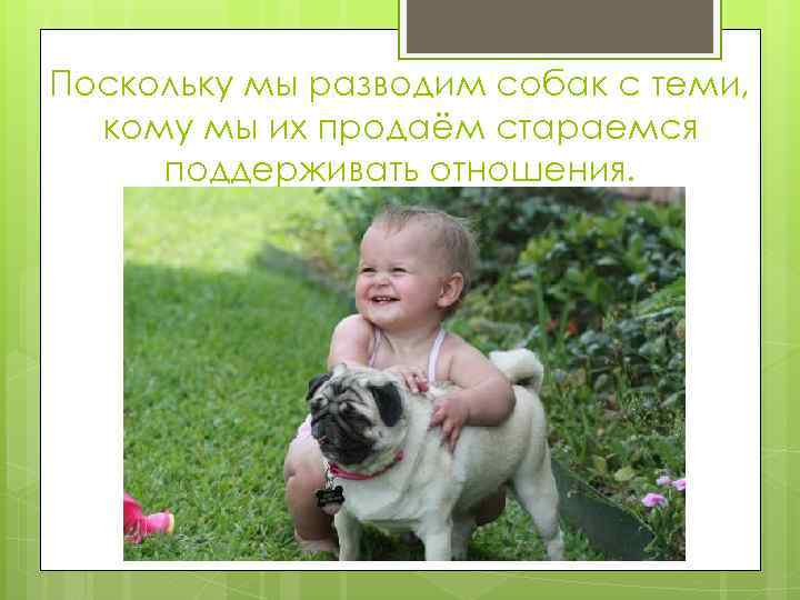 Поскольку мы разводим собак с теми, кому мы их продаём стараемся поддерживать отношения. 