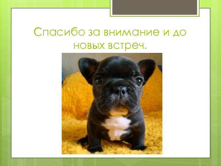 Спасибо за внимание и до новых встреч. 