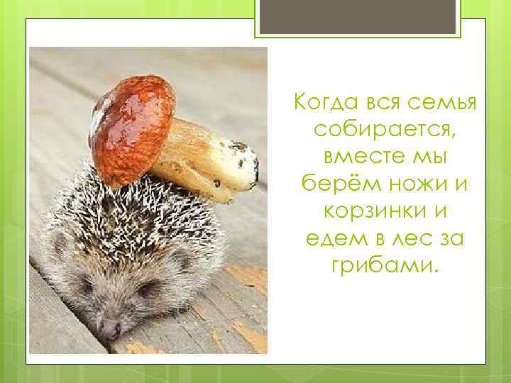 Когда вся семья собирается, вместе мы берём ножи и корзинки и едем в лес