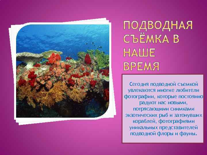 Сегодня подводной съемкой увлекаются многие любители фотографии, которые постоянно радуют нас новыми, потрясающими снимками