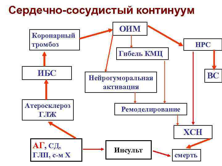 Сердечно-сосудистый континуум Коронарный тромбоз ОИМ НРС Гибель КМЦ ИБС Атеросклероз ГЛЖ ВС Нейрогуморальная активация