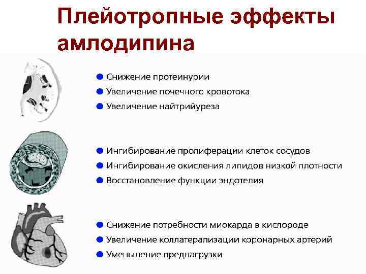 Плейотропные эффекты амлодипина 