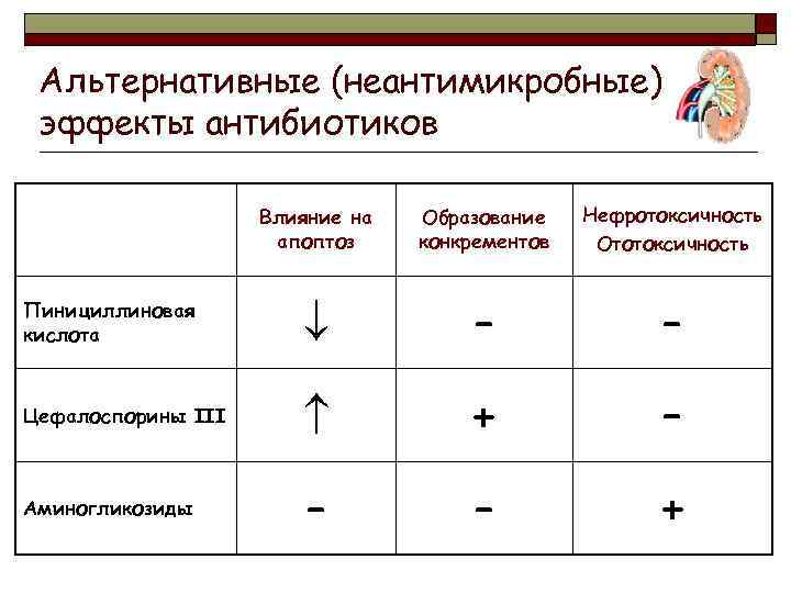 Альтернативные (неантимикробные) эффекты антибиотиков Влияние на апоптоз Образование конкрементов Нефротоксичность Ототоксичность Пинициллиновая кислота –