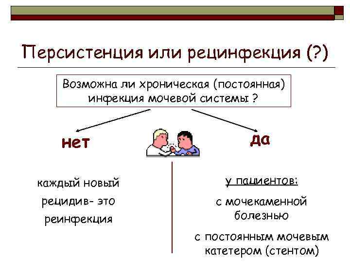 Персистенция или рецинфекция (? ) Возможна ли хроническая (постоянная) инфекция мочевой системы ? нет