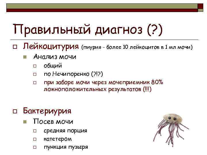 Правильный диагноз (? ) o Лейкоцитурия n Анализ мочи o o (пиурия - более