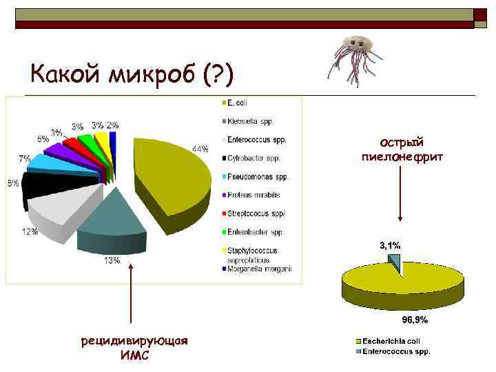 Какой микроб (? ) острый пиелонефрит рецидивирующая ИМС 