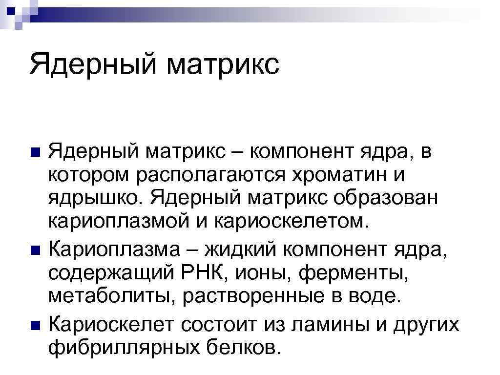 Ядерный матрикс n n n Ядерный матрикс – компонент ядра, в котором располагаются хроматин