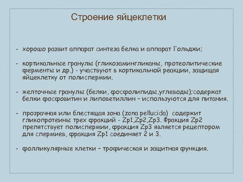 Строение яйцеклетки - хорошо развит аппарат синтеза белка и аппарат Гольджи; - кортикальные гранулы