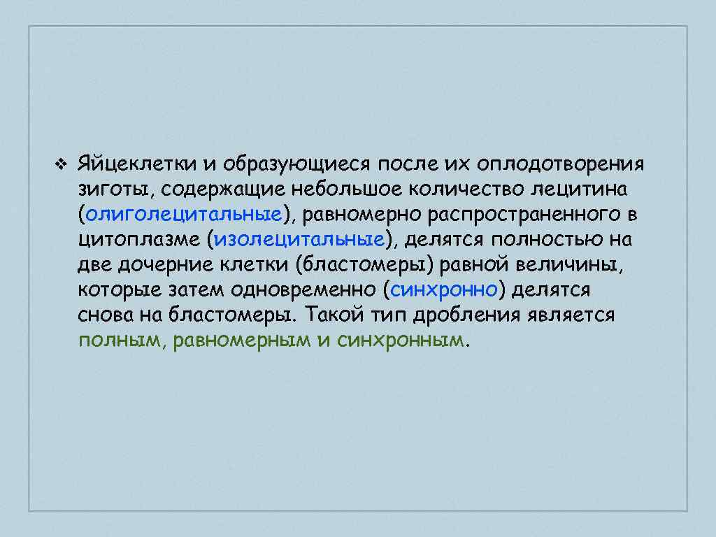 ❖ Яйцеклетки и образующиеся после их оплодотворения зиготы, содержащие небольшое количество лецитина (олиголецитальные), равномерно