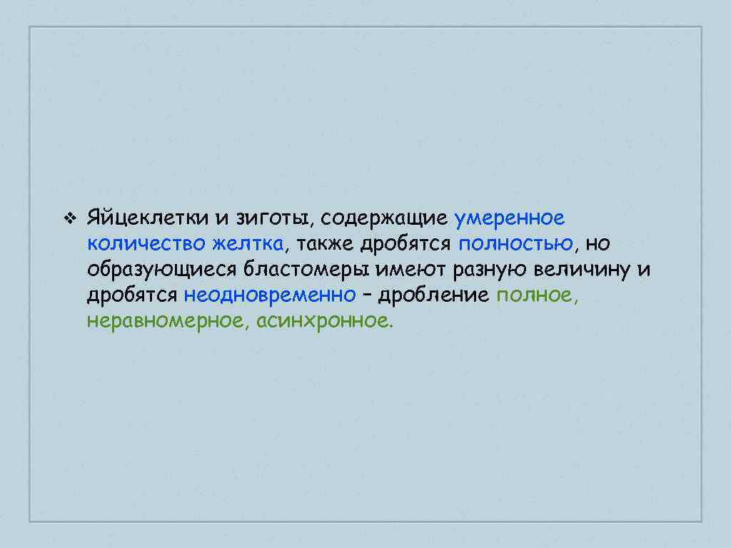 ❖ Яйцеклетки и зиготы, содержащие умеренное количество желтка, также дробятся полностью, но образующиеся бластомеры