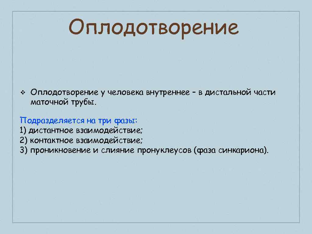 Оплодотворение ❖ Оплодотворение у человека внутреннее – в дистальной части маточной трубы. Подразделяется на