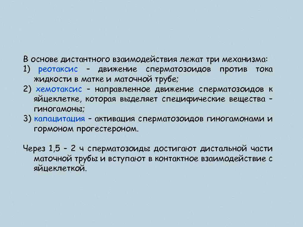 В основе дистантного взаимодействия лежат три механизма: 1) реотаксис – движение сперматозоидов против тока