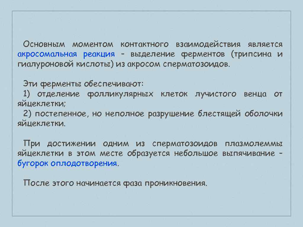 Основным моментом контактного взаимодействия является акросомальная реакция – выделение ферментов (трипсина и гиалуроновой кислоты)