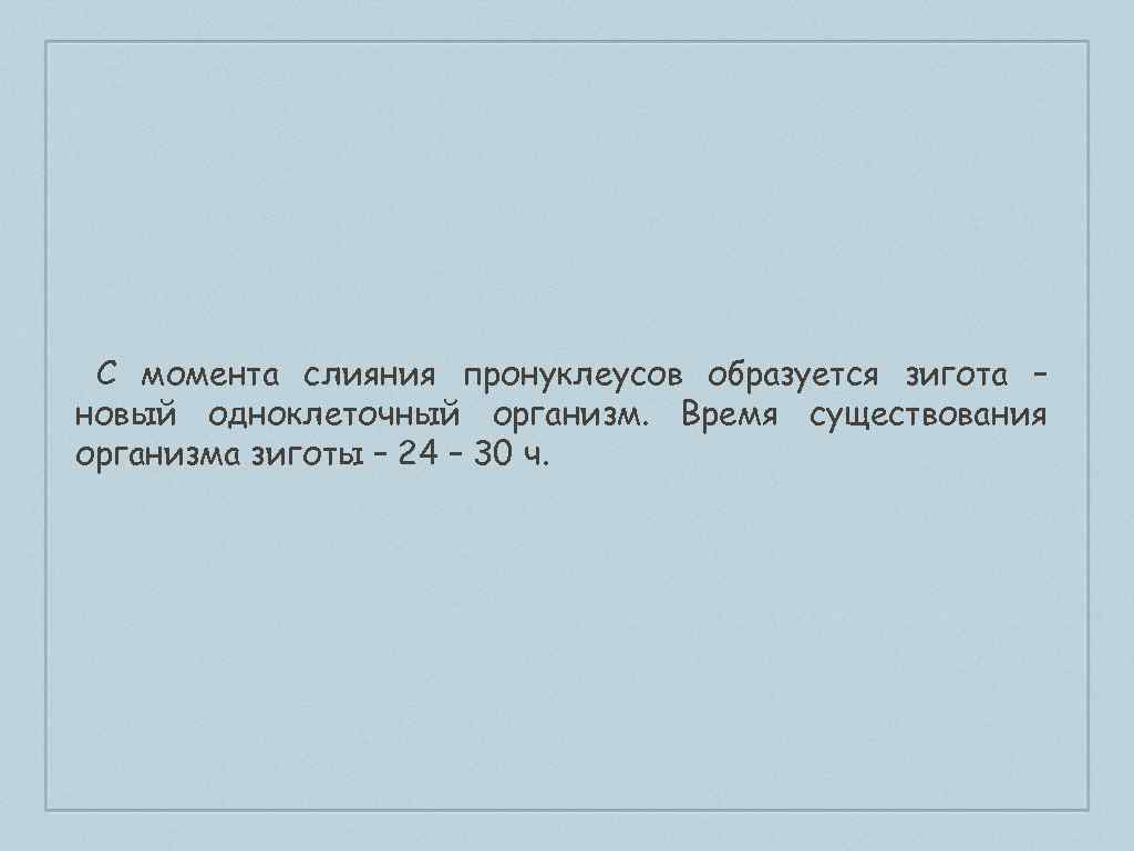 С момента слияния пронуклеусов образуется зигота – новый одноклеточный организм. Время существования организма зиготы