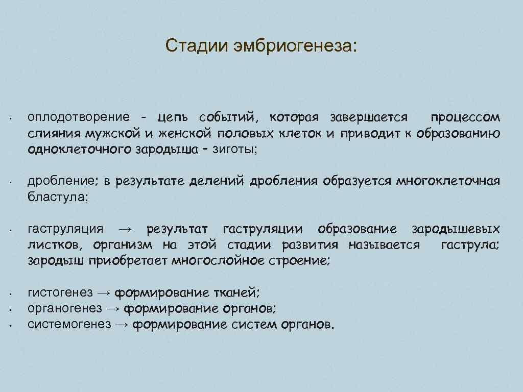 Стадии эмбриогенеза: • • • оплодотворение - цепь событий, которая завершается процессом слияния мужской