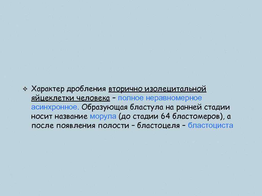 ❖ Характер дробления вторично изолецитальной яйцеклетки человека – полное неравномерное асинхронное. Образующая бластула на