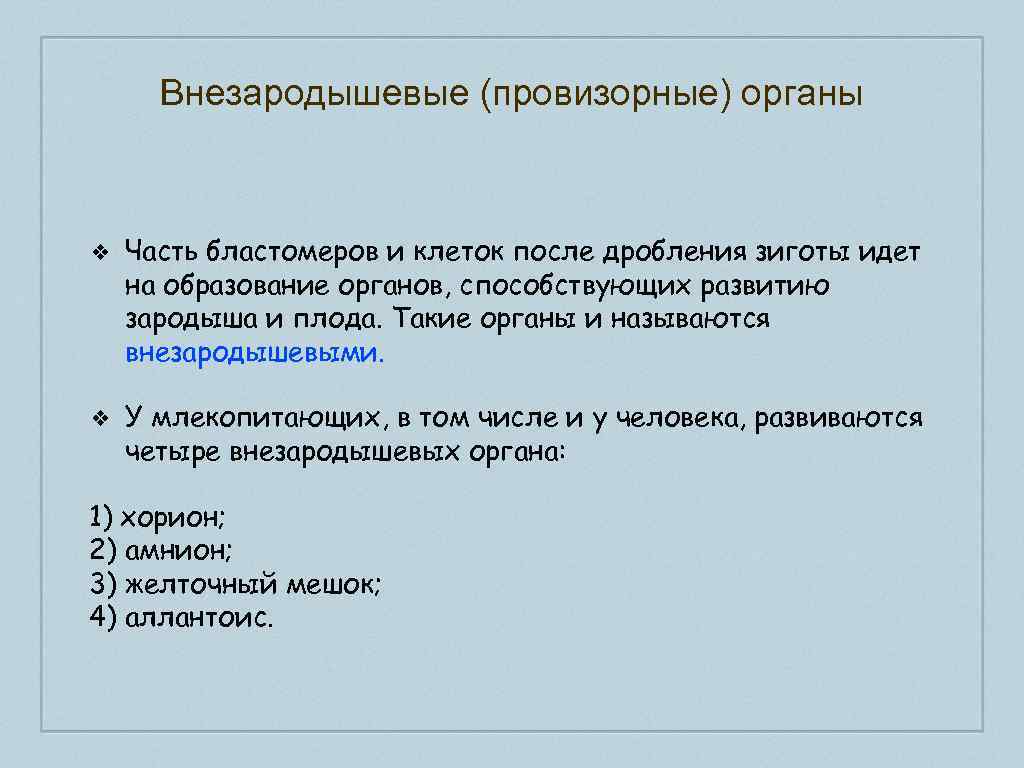 Внезародышевые (провизорные) органы ❖ Часть бластомеров и клеток после дробления зиготы идет на образование