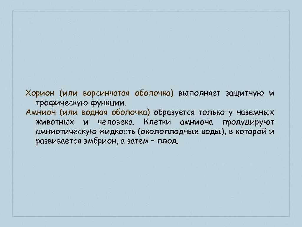 Хорион (или ворсинчатая оболочка) выполняет защитную и трофическую функции. Амнион (или водная оболочка) образуется