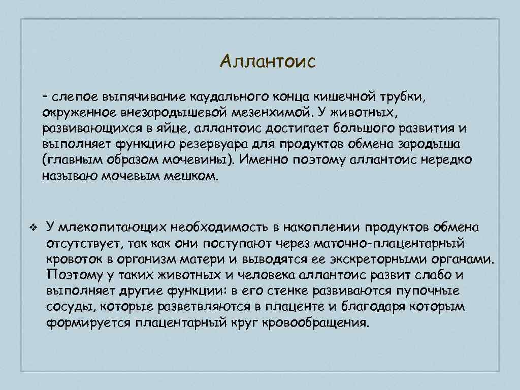 Аллантоис – слепое выпячивание каудального конца кишечной трубки, окруженное внезародышевой мезенхимой. У животных, развивающихся