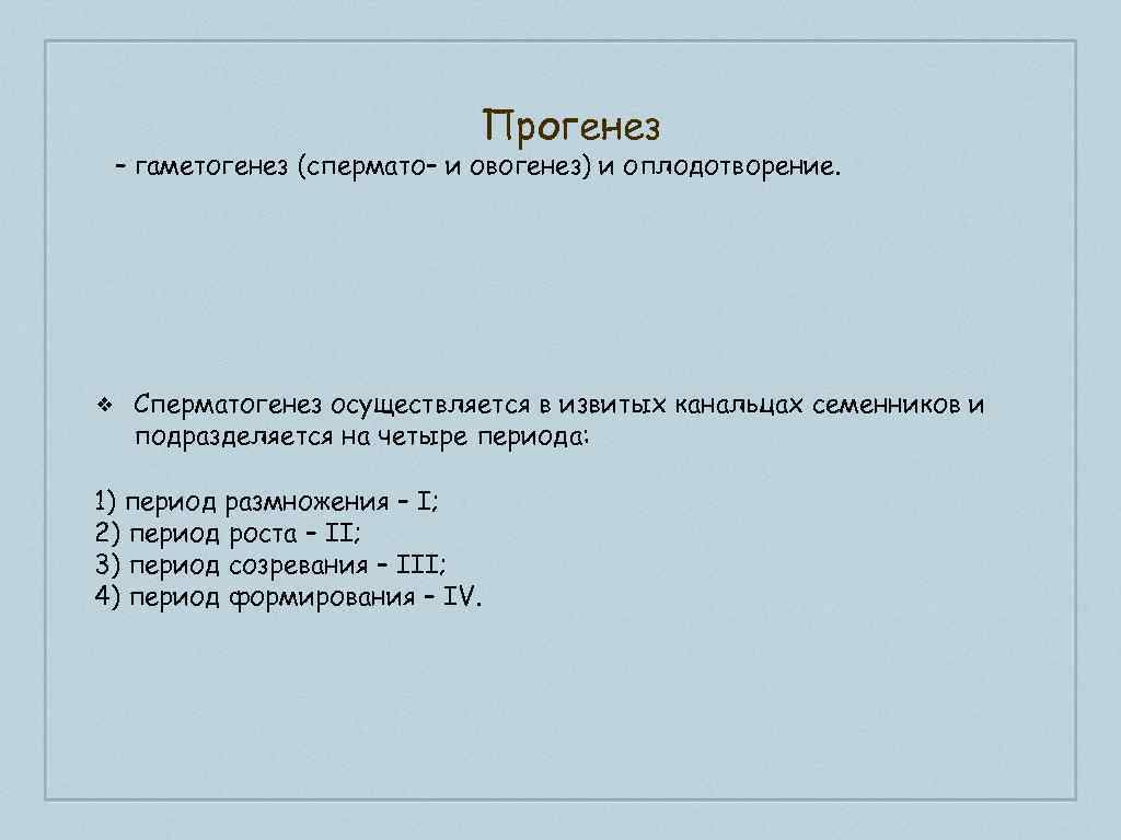 Прогенез – гаметогенез (спермато– и овогенез) и оплодотворение. ❖ Сперматогенез осуществляется в извитых канальцах