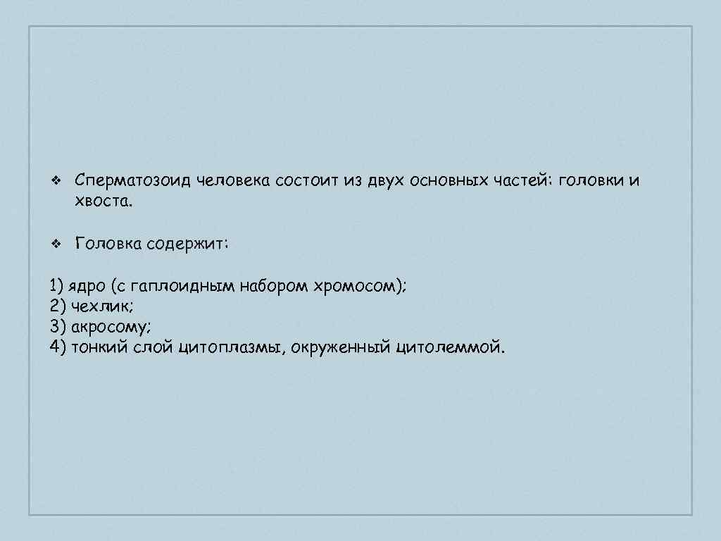 ❖ Сперматозоид человека состоит из двух основных частей: головки и хвоста. ❖ Головка содержит: