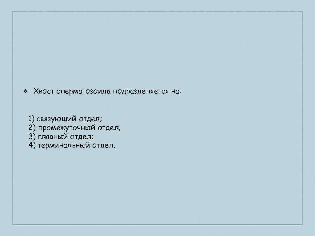 ❖ Хвост сперматозоида подразделяется на: 1) связующий отдел; 2) промежуточный отдел; 3) главный отдел;