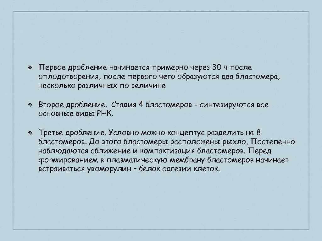 ❖ Первое дробление начинается примерно через 30 ч после оплодотворения, после первого чего образуются