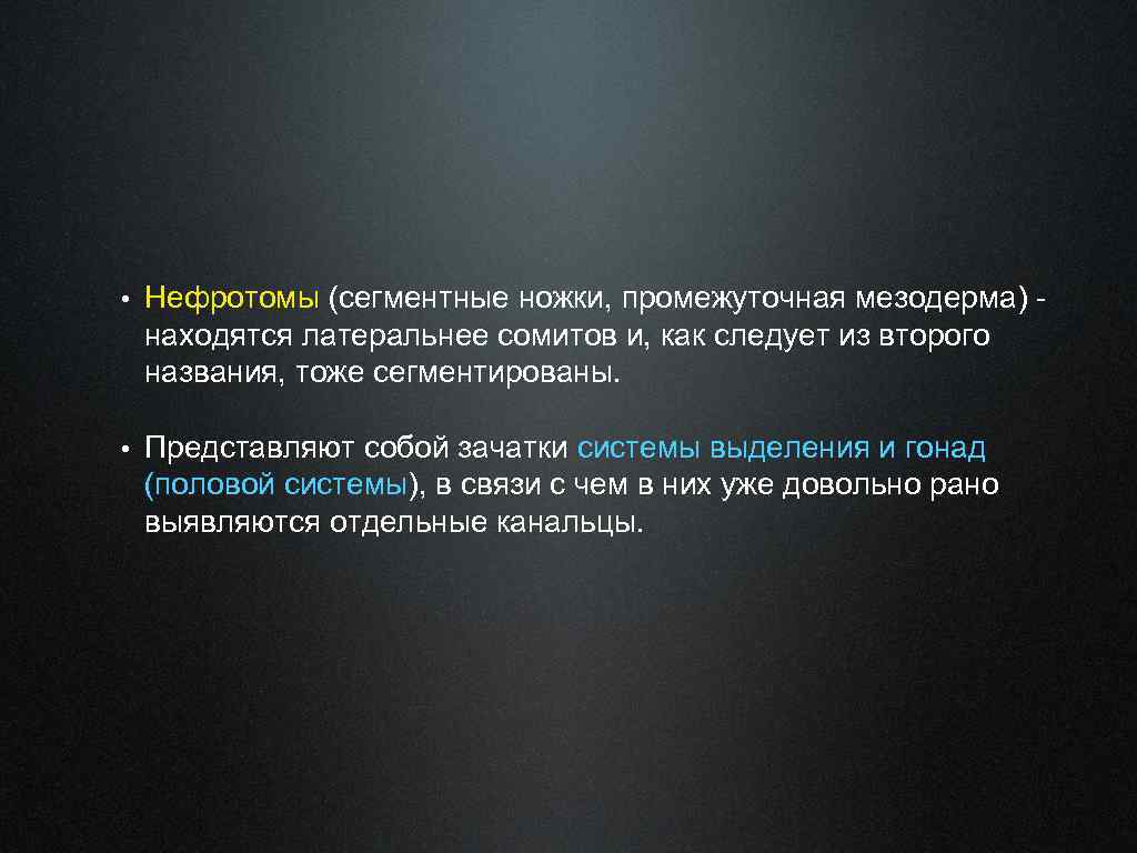  • Нефротомы (сегментные ножки, промежуточная мезодерма) - находятся латеральнее сомитов и, как следует