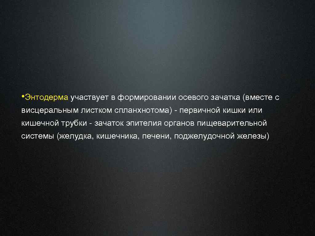  • Энтодерма участвует в формировании осевого зачатка (вместе с висцеральным листком спланхнотома) -