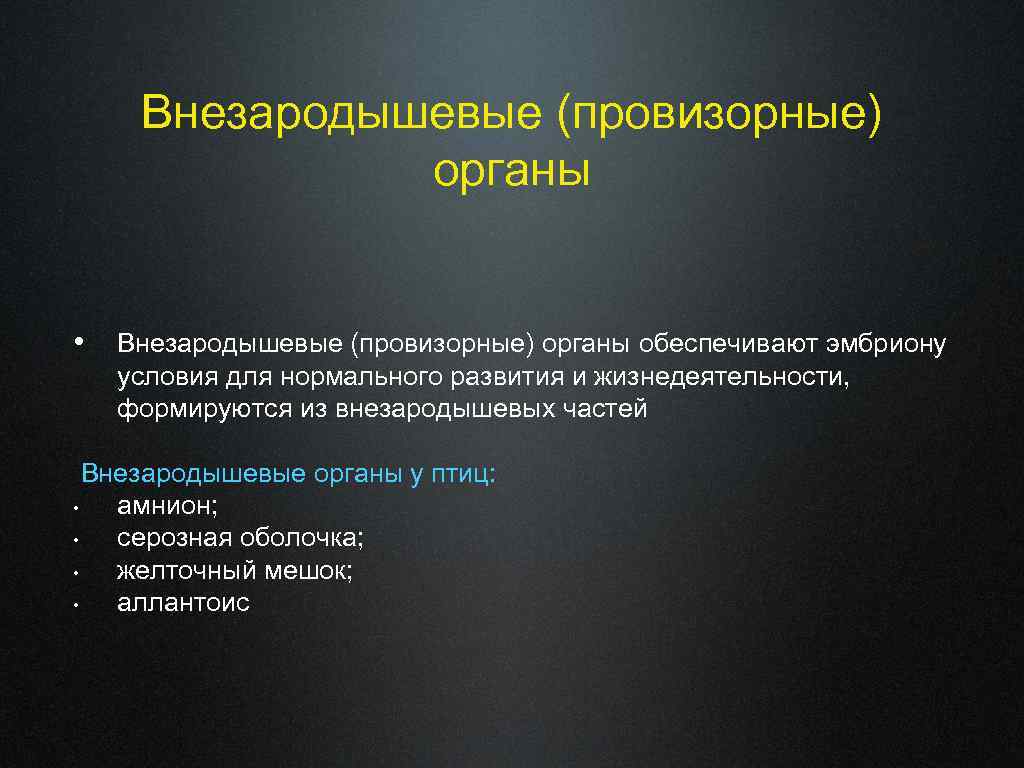 Внезародышевые (провизорные) органы • Внезародышевые (провизорные) органы обеспечивают эмбриону условия для нормального развития и