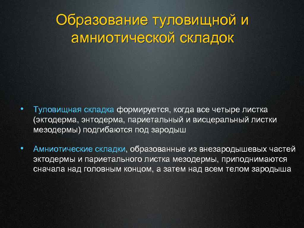 Образование туловищной и амниотической складок • Туловищная складка формируется, когда все четыре листка (эктодерма,