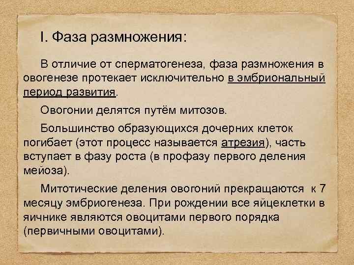  I. Фаза размножения: В отличие от сперматогенеза, фаза размножения в овогенезе протекает исключительно