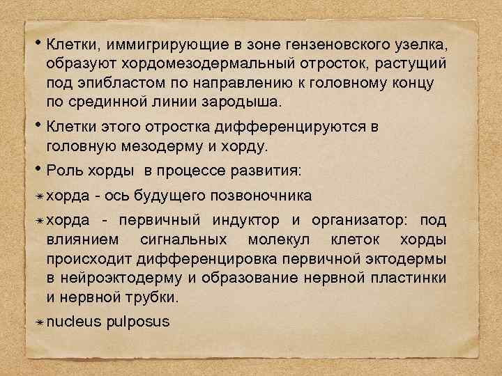  • Клетки, иммигрирующие в зоне гензеновского узелка, образуют хордомезодермальный отросток, растущий под эпибластом