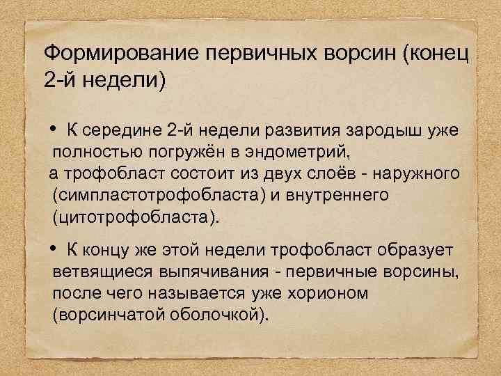 Формирование первичных ворсин (конец 2 -й недели) • К середине 2 -й недели развития