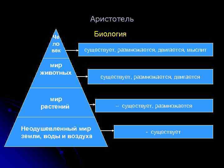 Лестница жизни семинар. Лестница жизни биология Аристотель. Классификация животных Аристотеля. Систематика животных по Аристотелю. Аристотель классификация живых организмов.